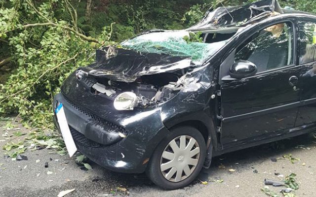 tree branch impact with car