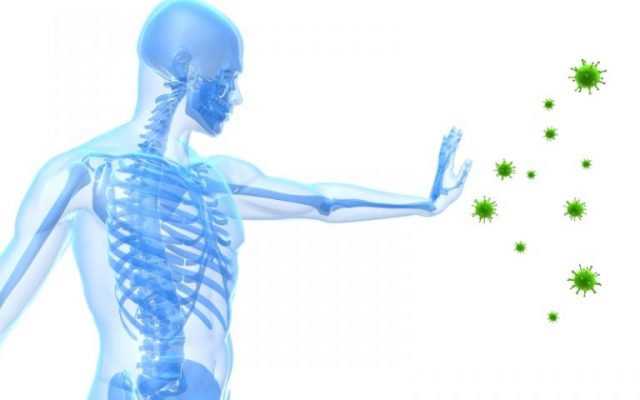 immune-system