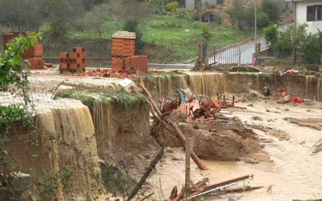 1E86A534-3B28-43B2-B190-1B81F0D1C06C