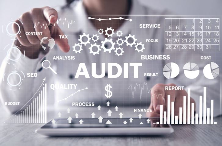 auditing reduces the costs of business
