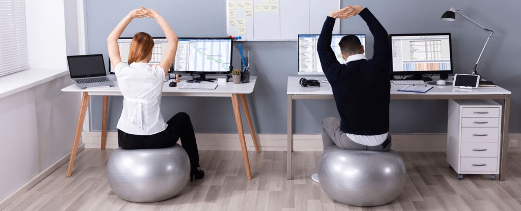 Ergonomics: The Science of Work and Well-being