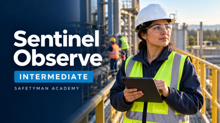 Sentinel observe intermediate course artwork